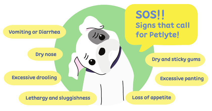 PETLYTE brochure illustration of a dog, with labels including vomiting or diarrhea, dry and sticky gums, excessive panting, and loss of appetite